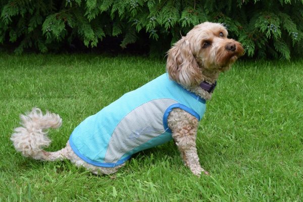 Deeper Look On Full Body Waterproof Dog Suit